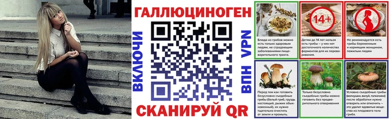 купить  сайты  Приморск  Псилоцибиновые грибы Magic Shrooms 